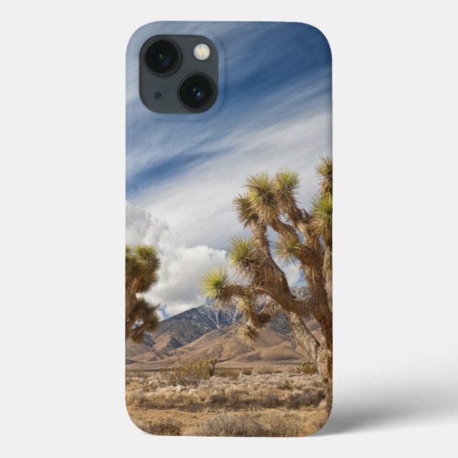 Joshua Trees no Deserto (Verso)