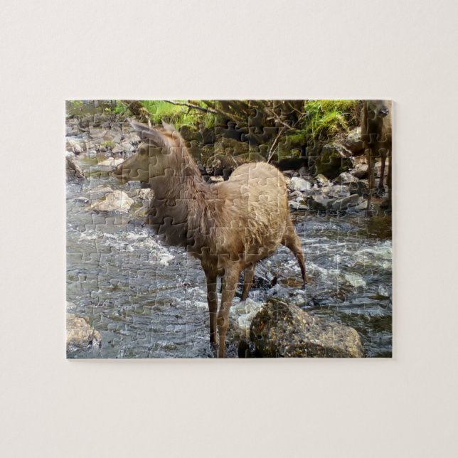 Jovem Red Deer na Quebra-cabeça do rio Jigsee (Horizontal)