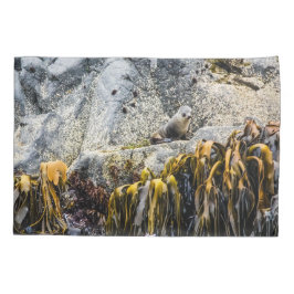 Jovem Selo De Peles Na Rocha