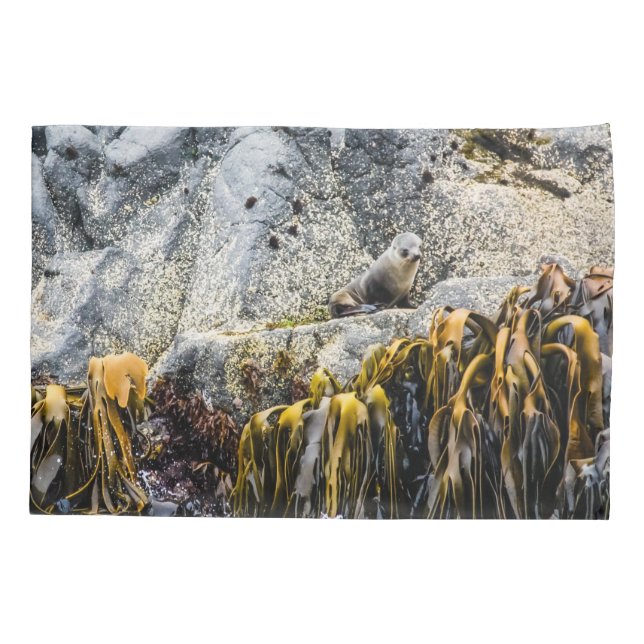 Jovem Selo De Peles Na Rocha (Verso)