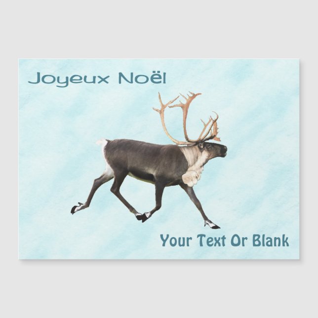 Joyeux Noё l - Cariou (Reindeer) Na Neve (Frente)