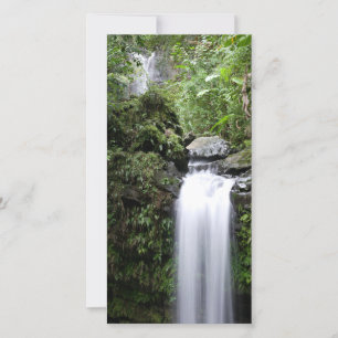 Juan Diego Falls