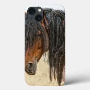 Juba do cavalo