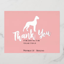 Juiz do Show de Cães Great Dane Obrigado