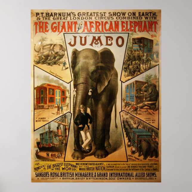 Jumbo, O Poster de Elefante Africano Gigante (Frente)
