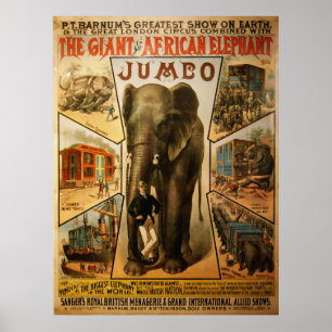 Jumbo, o poster gigante do elefante africano