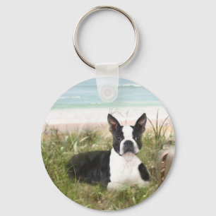 Junco do chaveiro de Boston Terrier