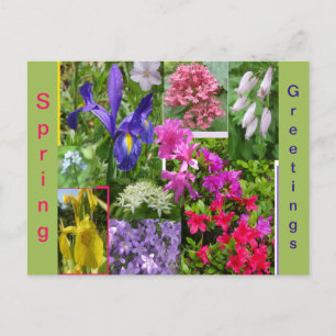 June Flowers Collage Cust. Cartão Postal