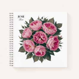 June Rosa: Personalised Birthday Bloom