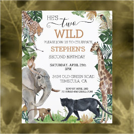 Jungle Safari Dois Pantera Negra Negra de Nascimen