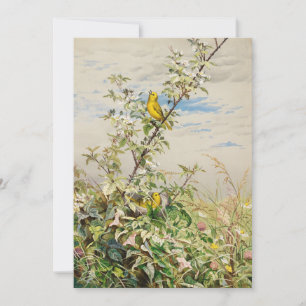 Junho   Fidelia Bridges