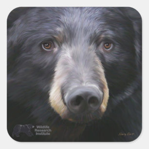 Junho por Nancy Liu - etiqueta