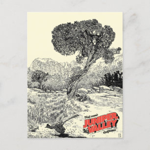 Juniper Valley Wilderness - Cartão postal