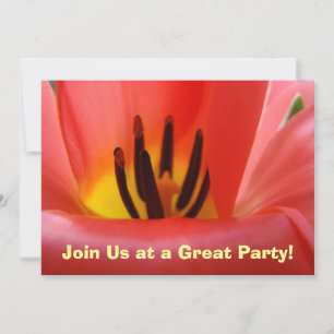 Junte-se a Nós em uma Ótima Festa! Convites Tulipa