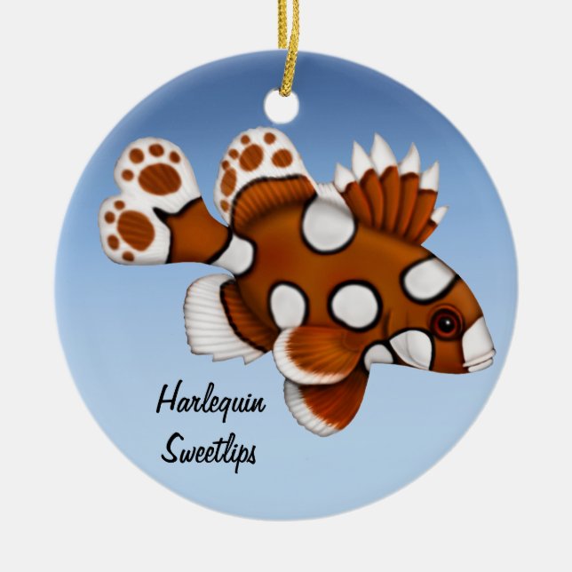 Juvenile Harlequin Sweetlips Ornamento de Peixes d (Frente)