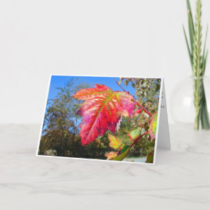 K&K - Cartão de condolências