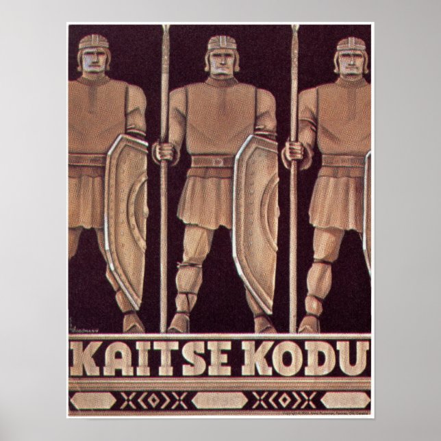 Kaitse Kodu Poster (Frente)