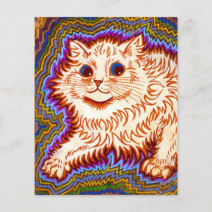 Kaleidoscope Cat