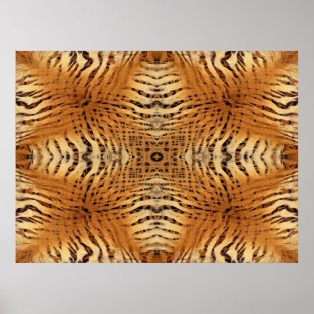 Kaleidoscope Tigre poster (Frente)