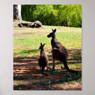 Kangaroo E Seu Joey, Poster