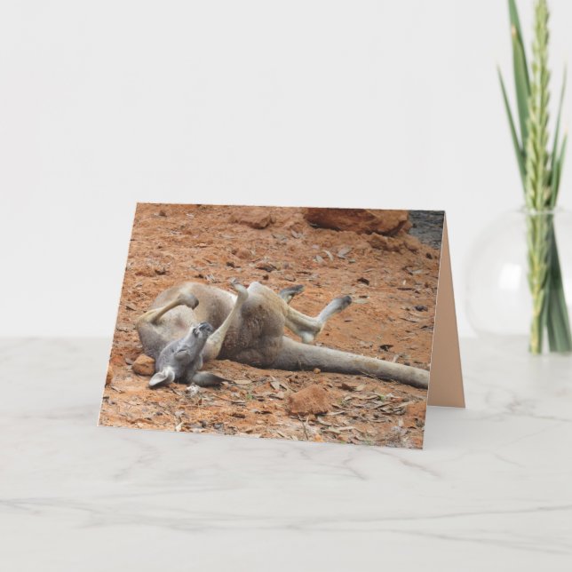 Kangaroo Rolling / Reproduzindo no Cartão de Saída (Frente)