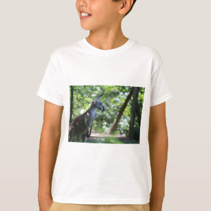 Kangaroo T-Shirt