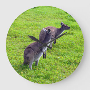 Kangaroos verde, Relógio de Parede