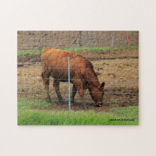 Kansas Country Cow Quebra-cabeça