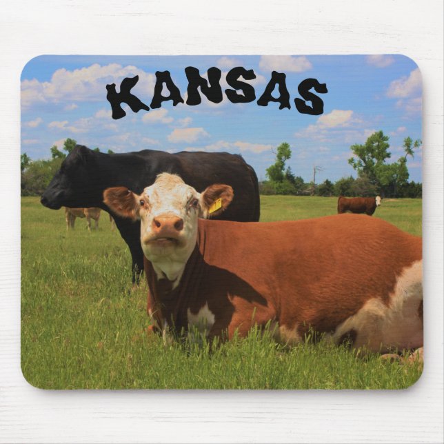 Kansas Hereford e Angus Cows Mouse Pad (Frente)