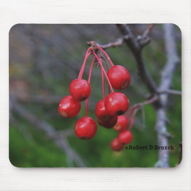 Kansas Red Berries atirou no Mouse Pad Fechado (Frente)