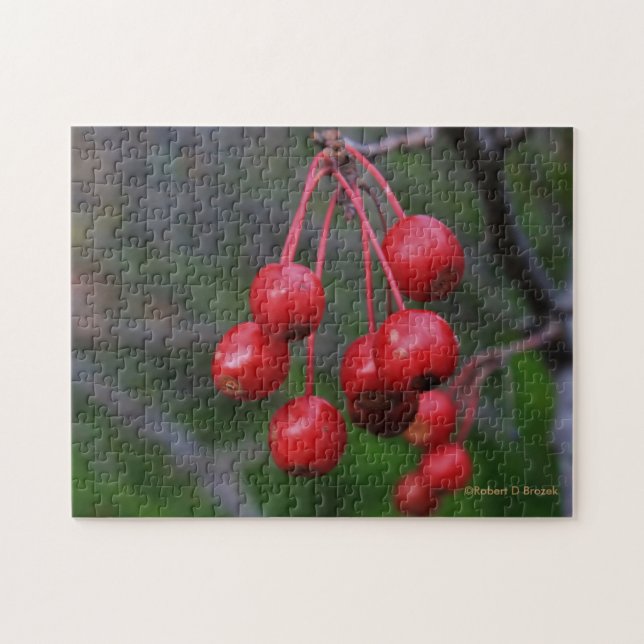 Kansas Red Berries Closeup Quebra-cabeça (Horizontal)