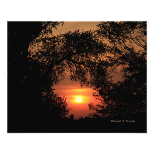 Kansas Sunset com um Alargamento de Fotos em Árvor