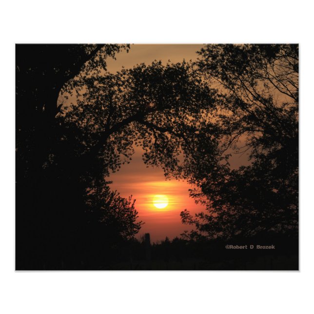 Kansas Sunset com um Alargamento de Fotos em Árvor (Frente)