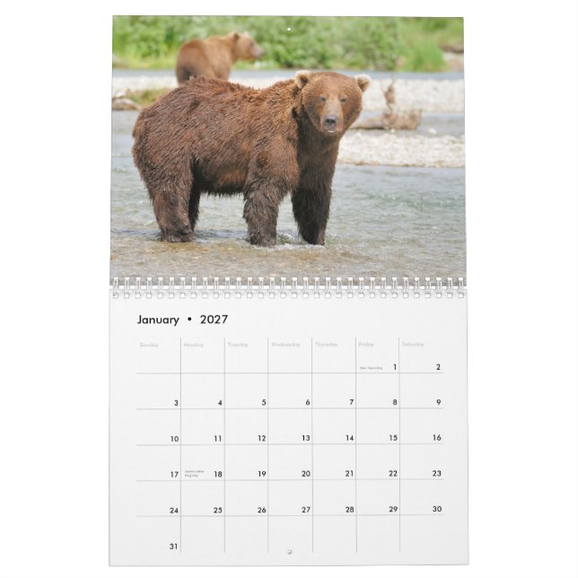 Katmai carrega o calendário (Jan 2027)