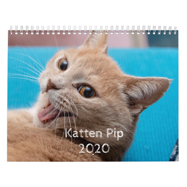 Katten Pip - Calendário 2020 (Capa)