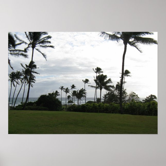 Kauai Palm Poster (Frente)