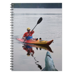 Kayak, remo, tubarão, caderno de campo