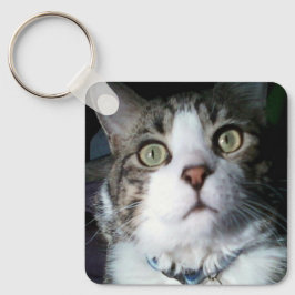 Keeno, eu ouvi o Treats Chaveiro