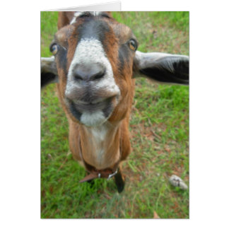 keepin minha diferença! Mariah o cartão da cabra