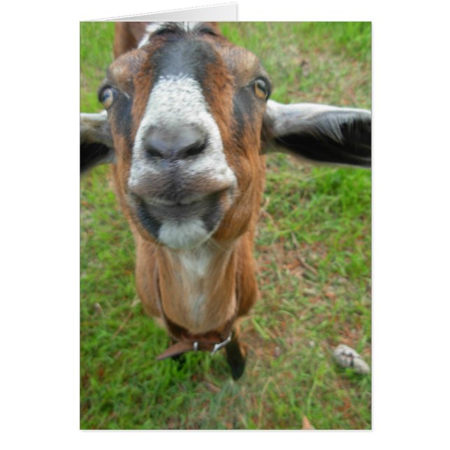 keepin minha diferença! Mariah o cartão da cabra (Frente)