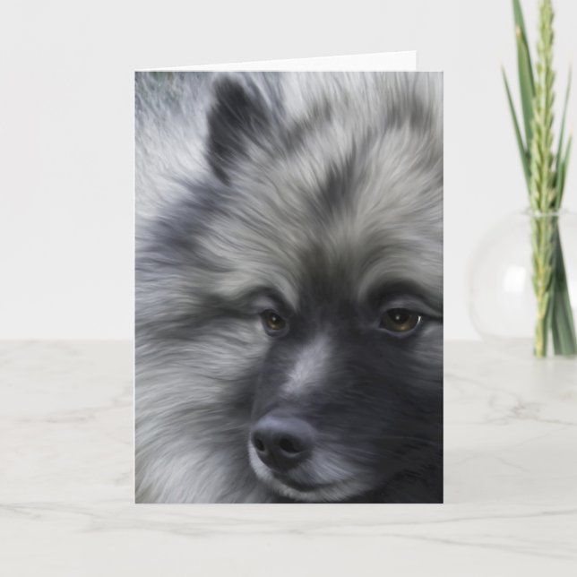 Keeshond algum cartão da ocasião (Frente)