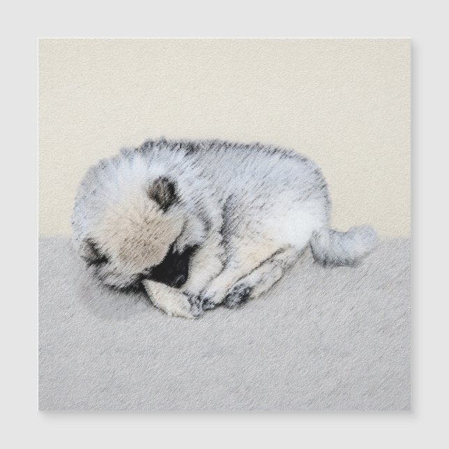 Keeshond Dormindo Puppy Pintura Original (Frente)