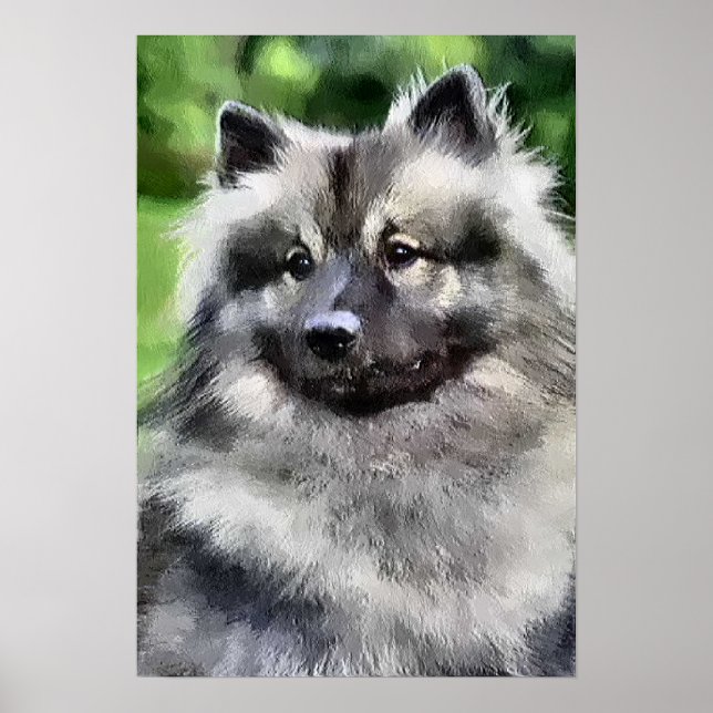 Keeshond Oferece Impressões de Arte (Frente)