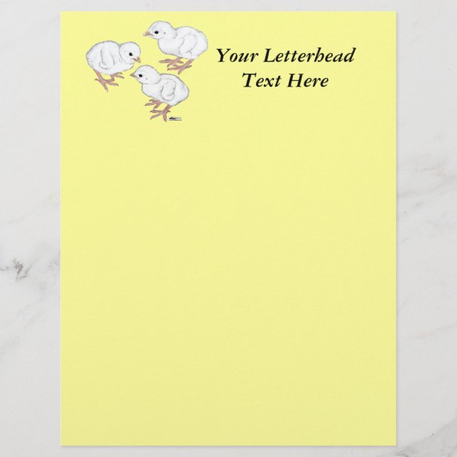 Keets de Guiné Branca (Frente)