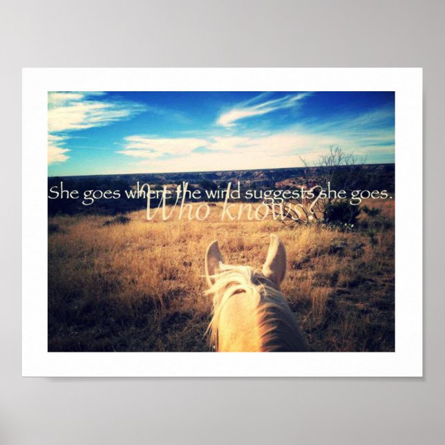 Kenny Chesney Country Western Cowgirl Poster (Frente)