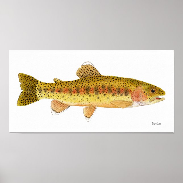 Kern River Rainbow Trout Art Poster (Frente)