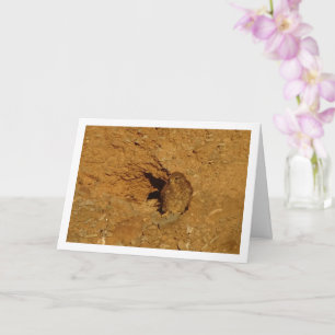 Kestrel Bird, Cartão Falco Tinnunculus