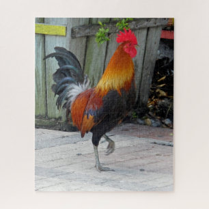 Key West Gypsy Rooster Design Jigsee Quebra-cabeça