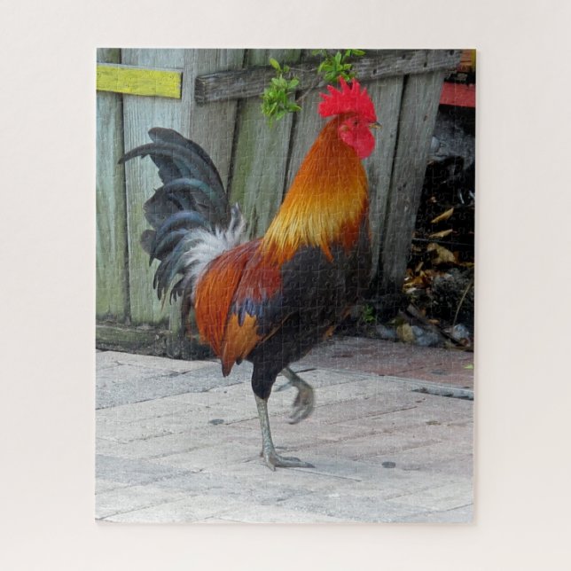 Key West Gypsy Rooster Design Jigsee Quebra-cabeça (Vertical)
