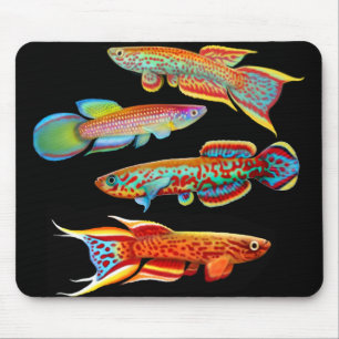 Killifish colorido Mousepad